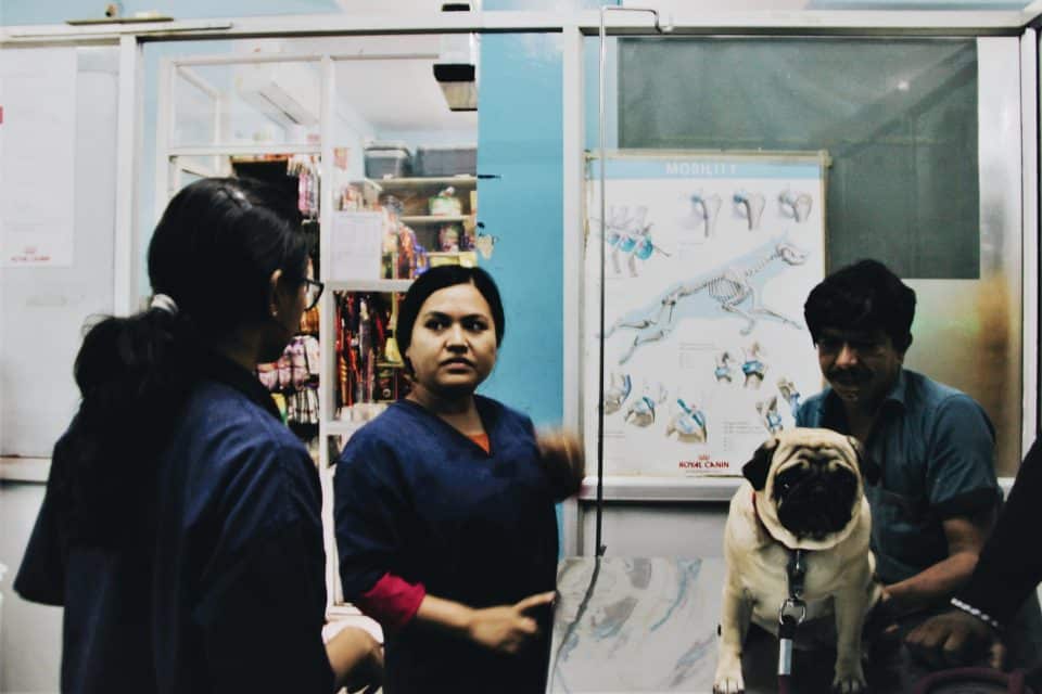 CUPA Small Animal Specialty Hospital CUPA