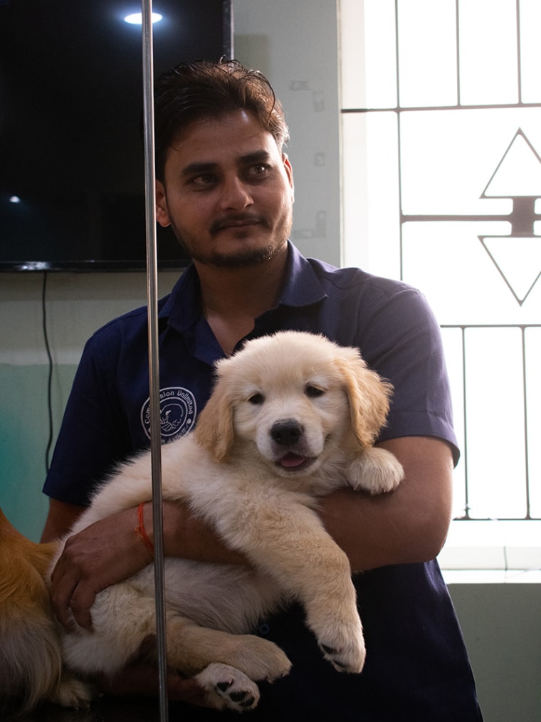 CUPA Small Animal Specialty Hospital CUPA